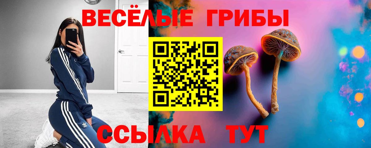 Строитель  Галлюциногенные грибы GOLDEN TEACHER  Вход с VPN 